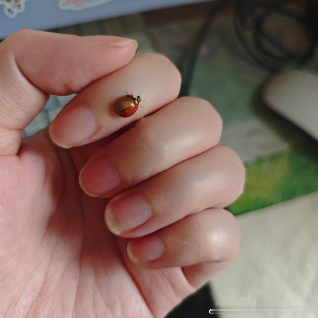 分享图片 