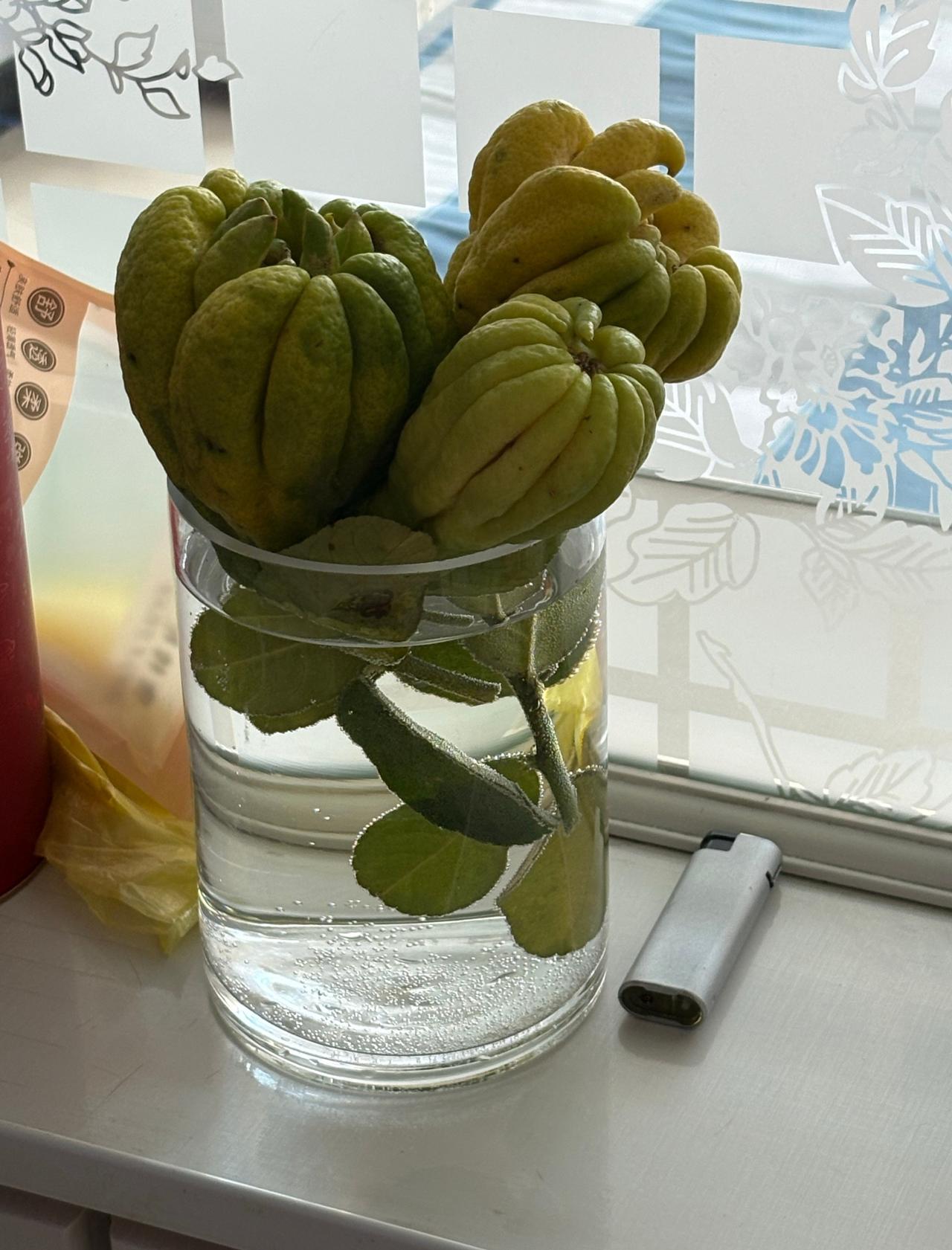 今天吃烧烤呀我们在家自己烤
早就想买了但是我感觉我在北京懒得换水结果今天醒来发现