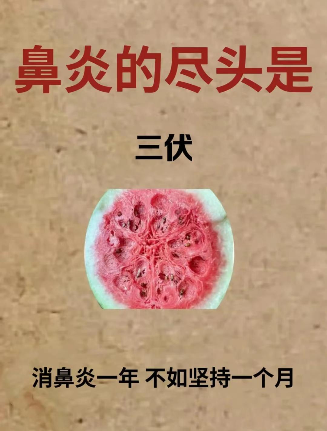 三伏天黄金40天。夏日三伏将至，消bi炎正当时，错过就得再等一年