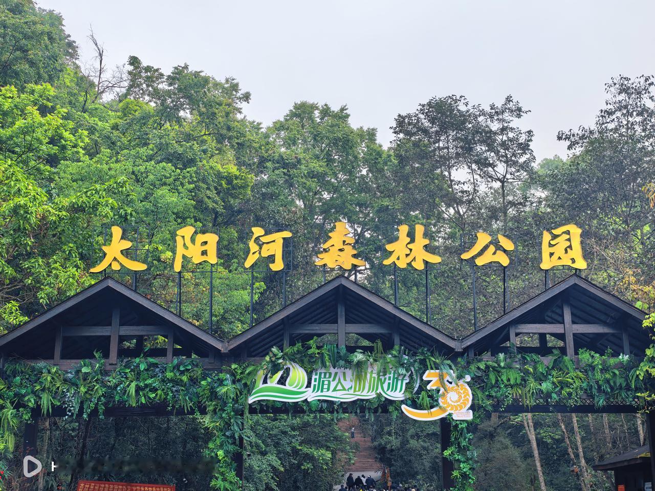 🌿🌿🌿🦜🦜🦜
蝴蝶在花瓣上停脚，猕猴在枝头欢唱，猫头鹰在守卫着自己的