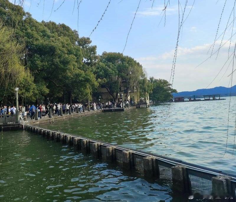 心里话       向前看固然必要，看清脚下路由为重要……      