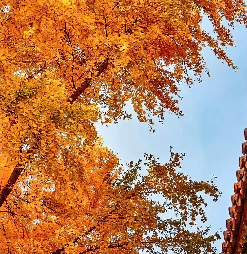 许多作者误以为～自己的文采非常出色。
其实不然，大部分点赞👍，来自于平台加法。