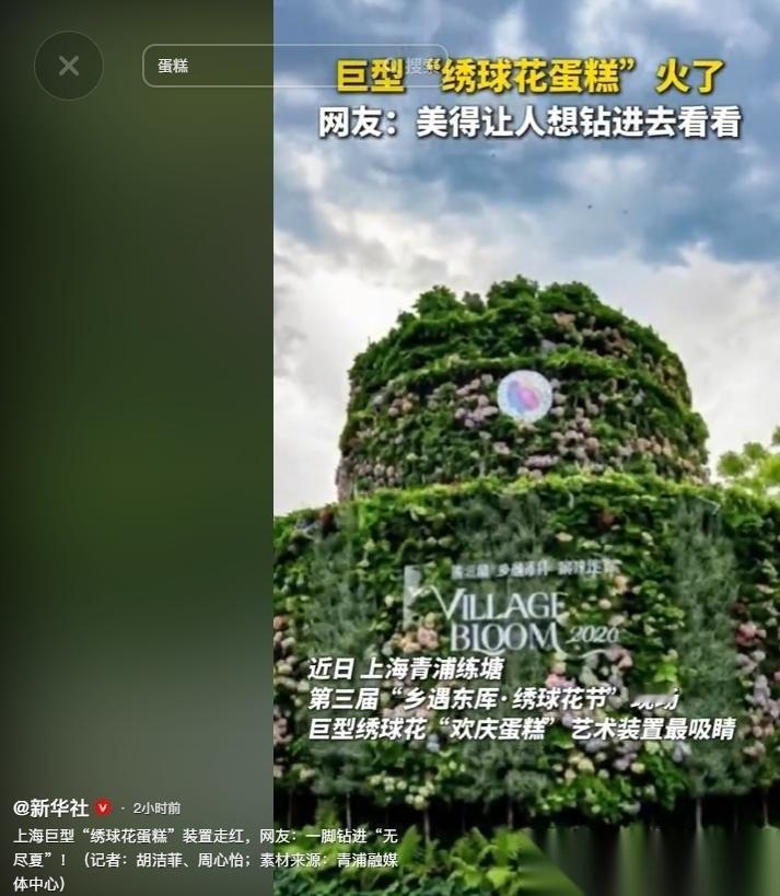 上海巨型“绣球花蛋糕”装置走红，网友：一脚钻进“无尽夏”。
4月30日，新华社发