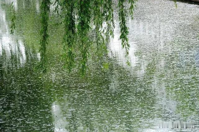 #记录我的2024# 

不恨此花飞尽，恨西园、落红难缀。晓来雨过，遗踪何在？一
