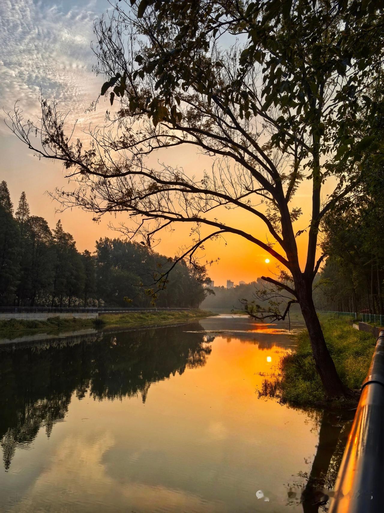 天净沙·夕阳
夕阳溢美屏盈，
渔舟唱晚闲行。
初冬河旁叶零。
翘首歌咏，
心宁意