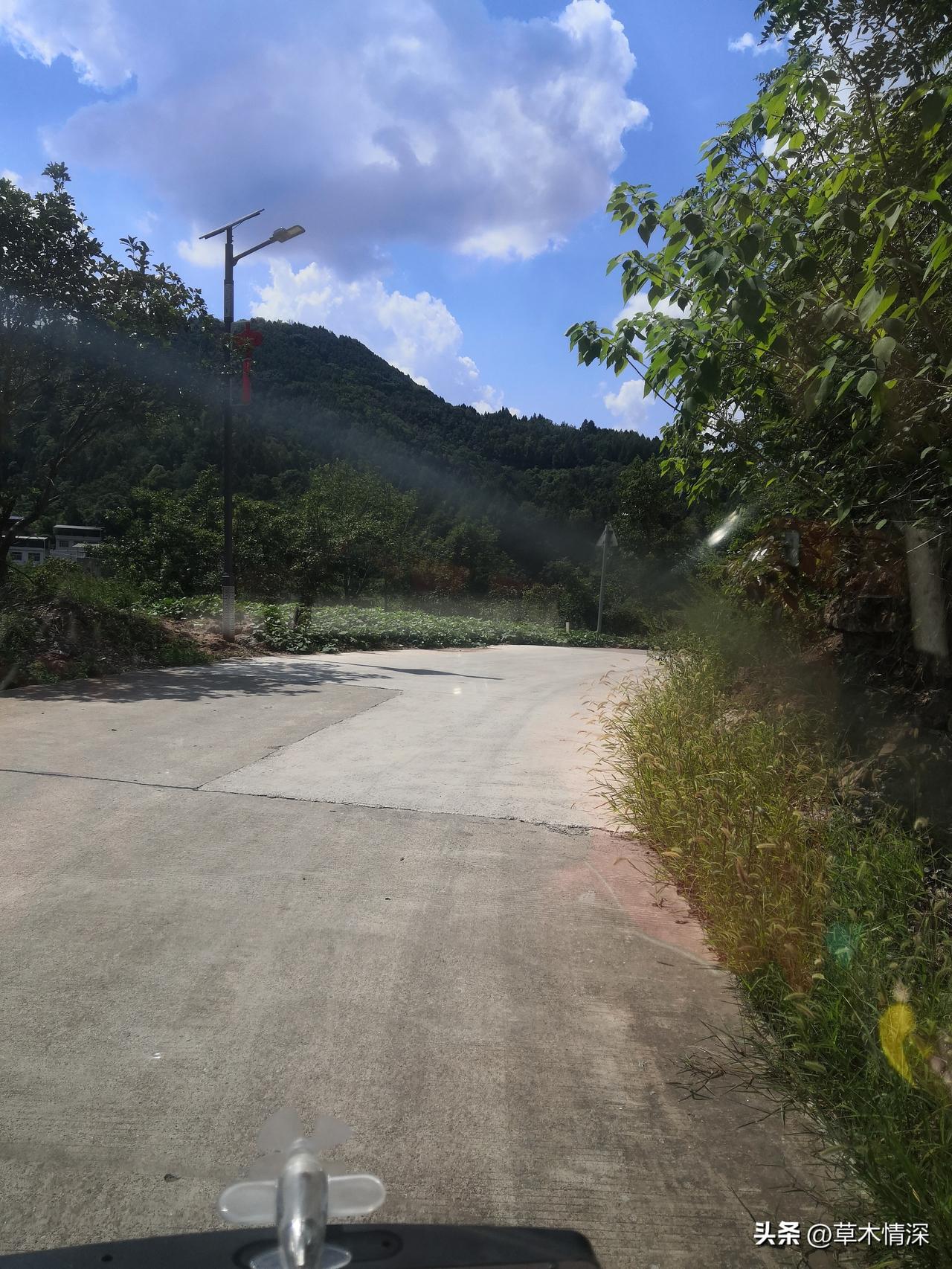太阳不一样
农村的太阳和城市道路的太阳不一样。
在四川农村，活一大半辈子，今天才