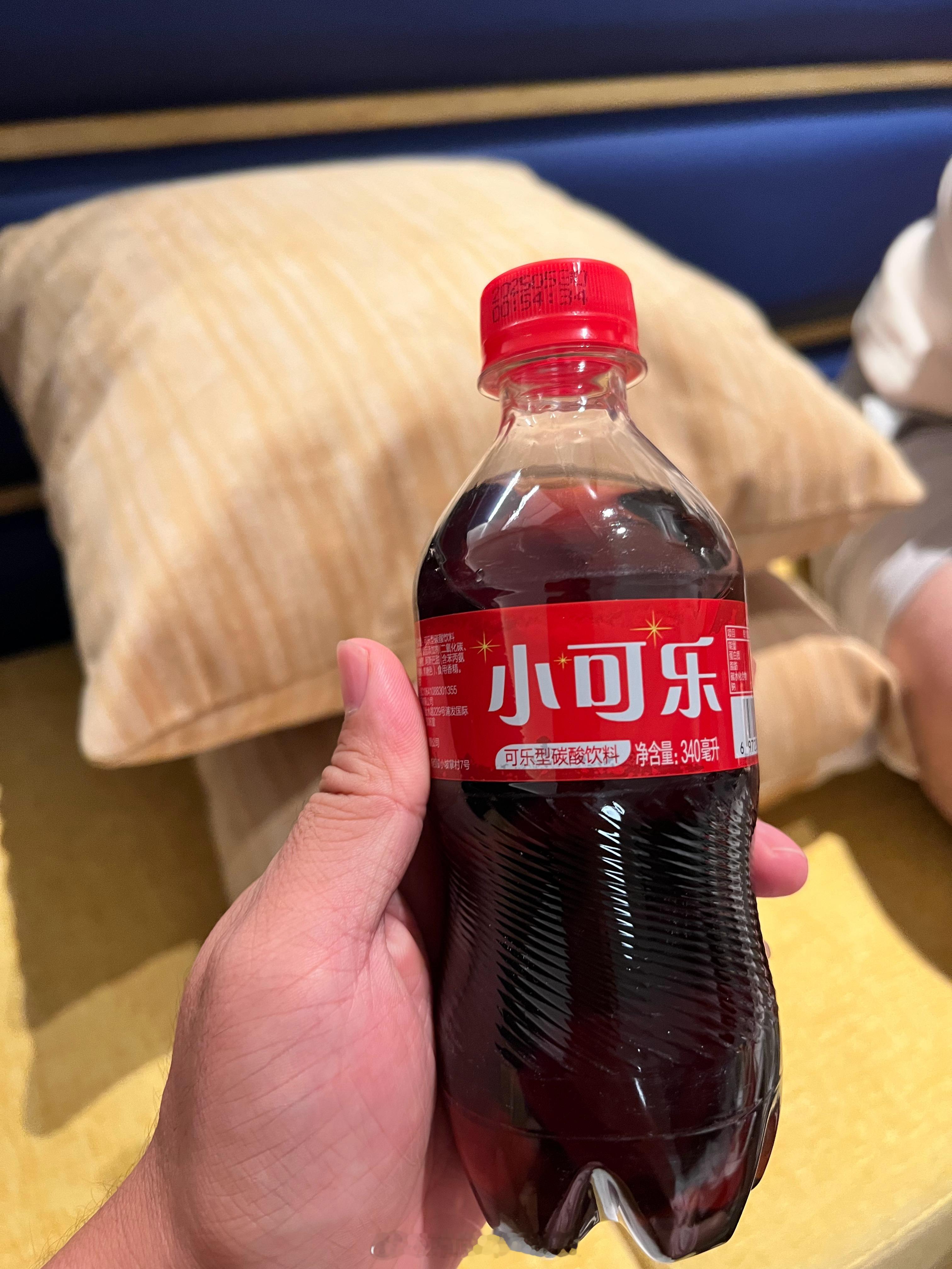 朋友跟我说这是山寨可乐，我看了一眼不可能！这就是真的，明明就是小可乐，怎么可能是