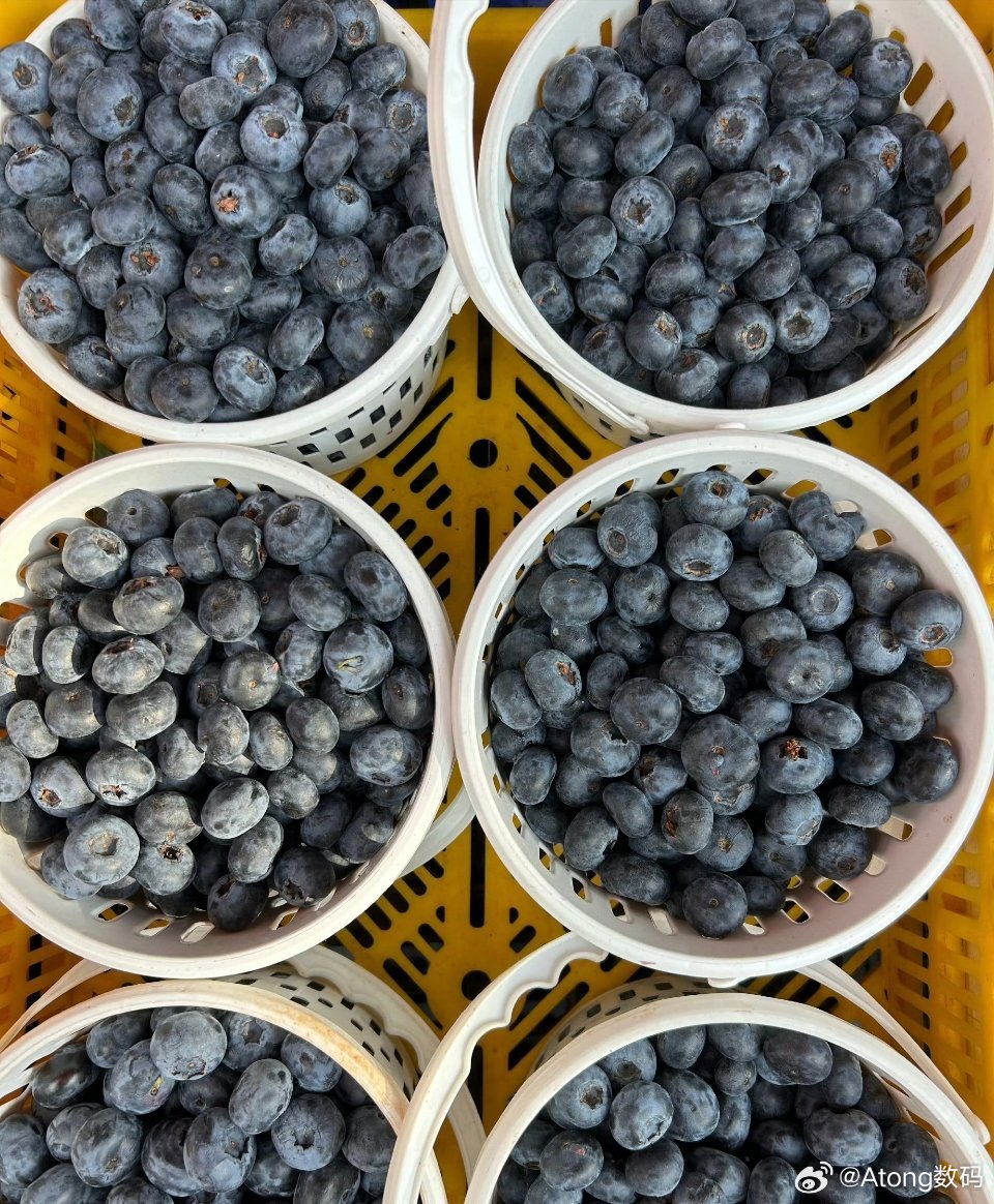 蓝莓价格大跳水了过年期间的蓝莓69.9一斤感觉也不便宜啊…到底哪里在跳水 