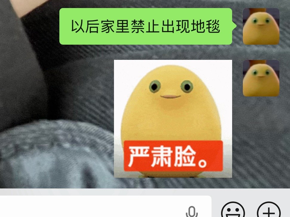 在建设属于自己的家的过程中我领悟了什么： 