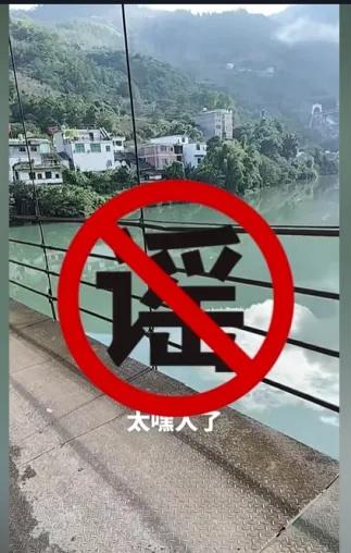 净网-2025|编造“有人跳桥失踪”虚假信息，网警依法查处！网页链接