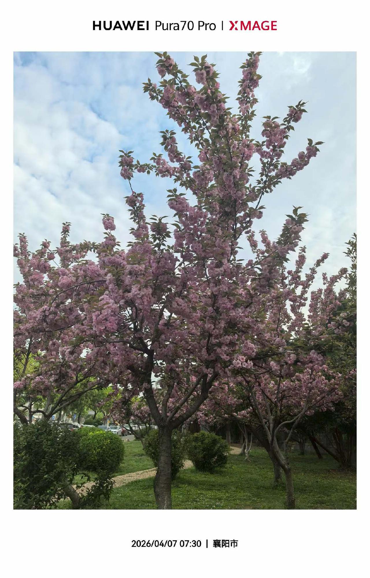 恒大老许一审未宣判结果，但老许对他的八宗罪，当庭表示认罪悔罪。
老许的人生也是非