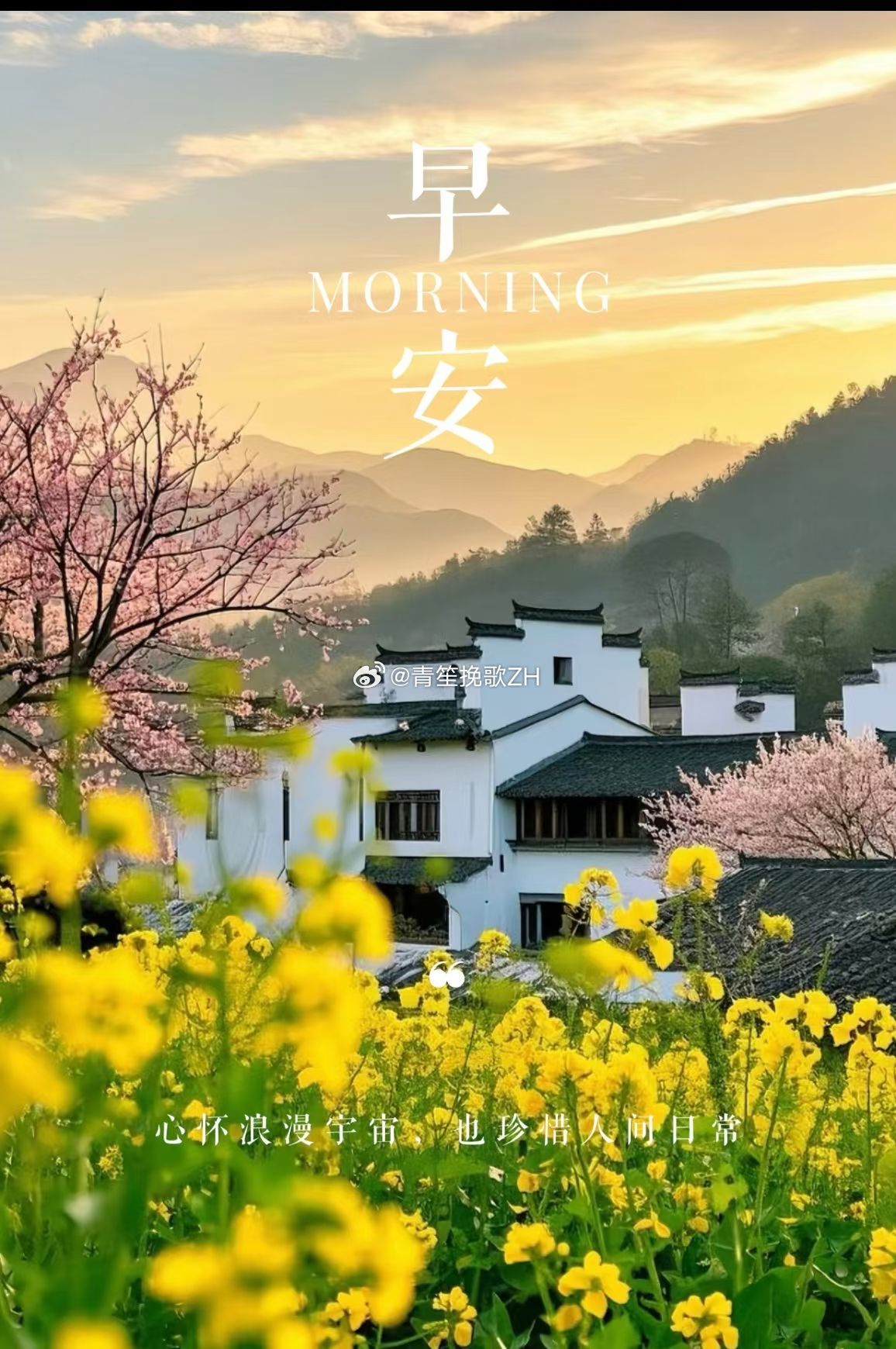 每天早起打卡早呀早呀~终于到周末了 