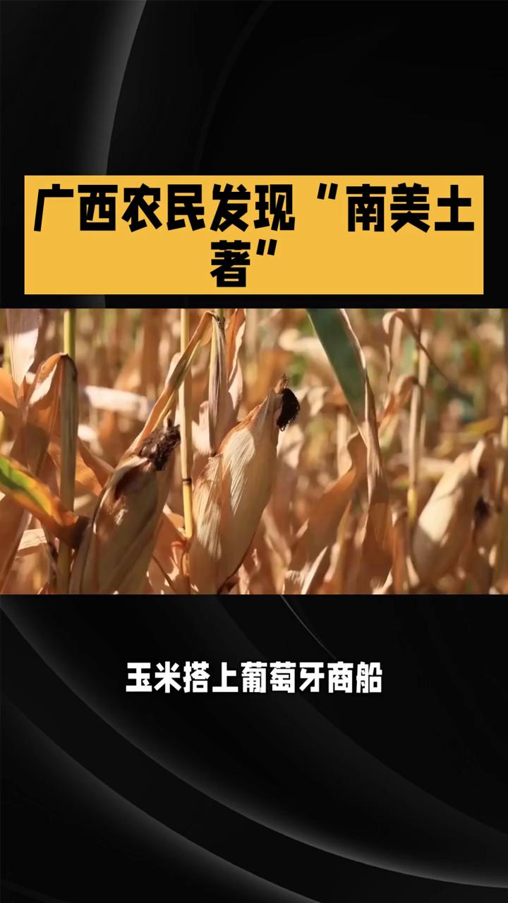 广西农民发现"南美土著"。
1531年，广西农民在田里发现一群"不速之客"，竟是