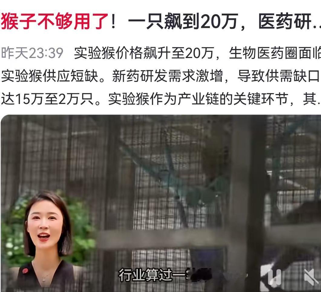 一只猴子卖多少钱？在寻常人眼里，这可能只是去动物园门票的一小部分，但在如今的生物