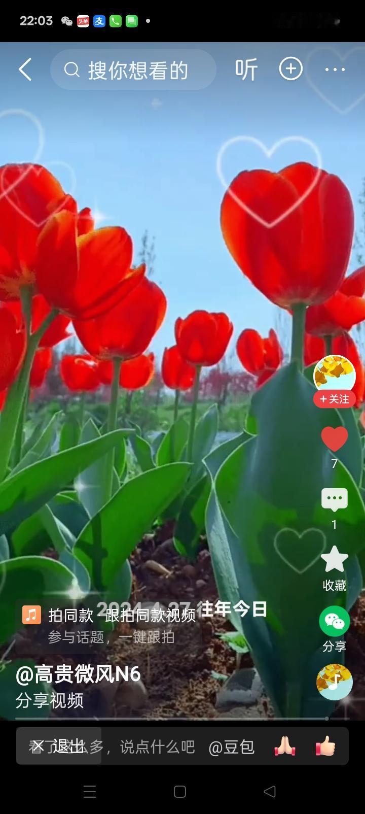 耀眼的玫瑰花，太惊艳啦！
