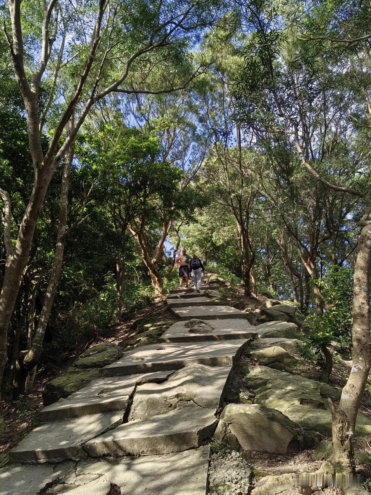 自己给自己整了个乌龙。
      爬完山天黑才下山，在山角小卖部灌了一大瓶绿茶
