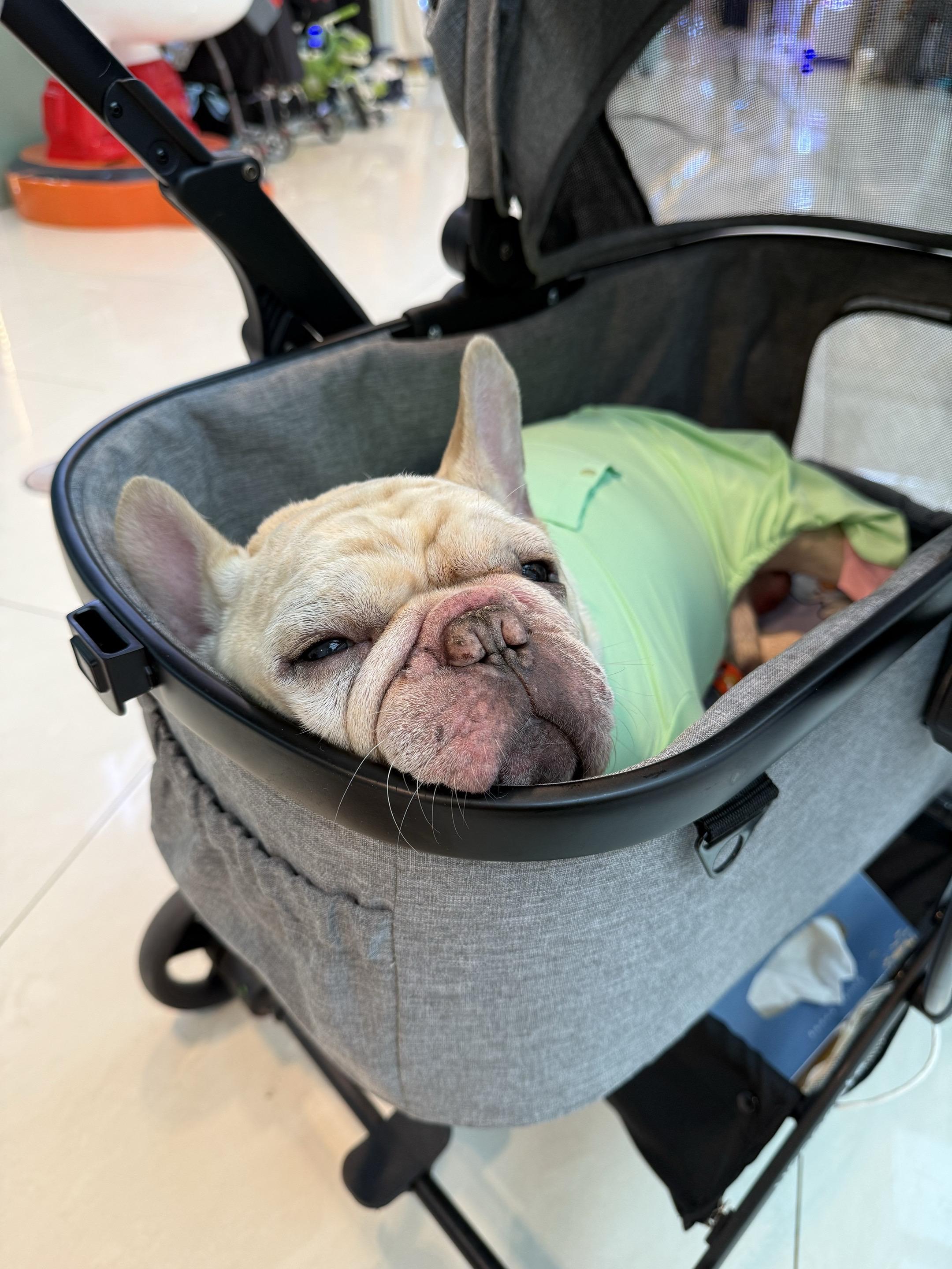 越不想你，越想你