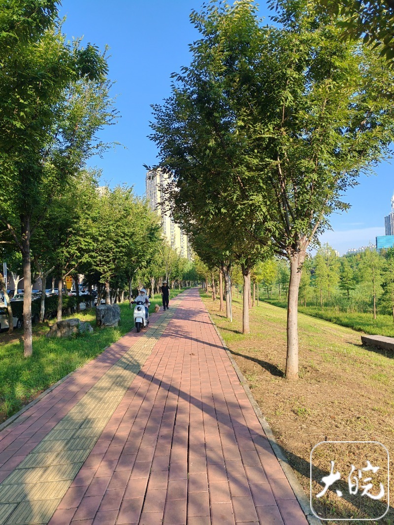 秋老虎强势回归 安徽最高气温可达38℃