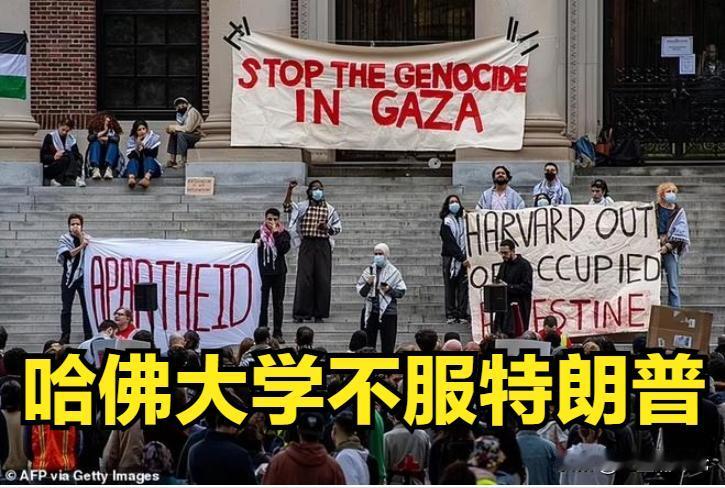 都是美国，我就想看看那个美国更厉害？


特朗普政府和美国哈佛大学打起来了，这比