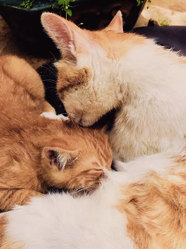 人的一生最大的财富是什么? 有人觉得一生最大的财富是金钱名利，可等繁华落尽，就会