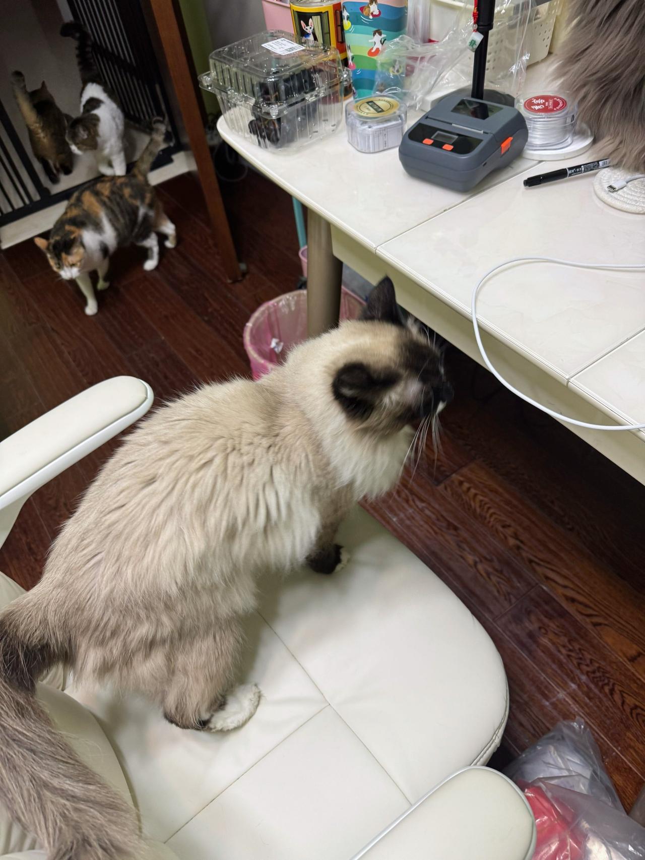 最近父子关系很融洽啊，老是组队行动