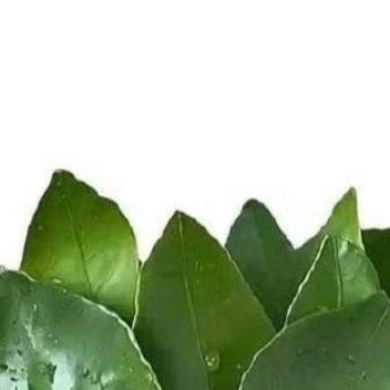 走过路过帮我善一善ss又被狙没了好好活着，不要抱怨生活，就算生活的不如意，就算生