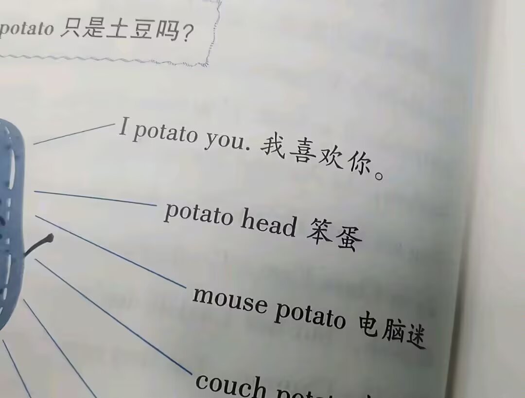 9373我土豆你 