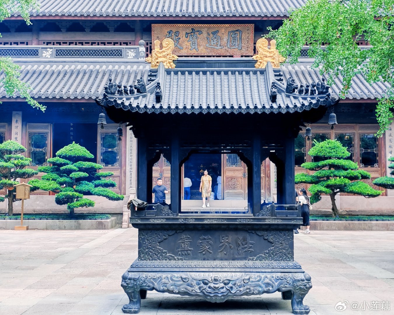 今天的七塔寺，荷花只剩下最后一朵，银杏结了果子，文殊菩萨前面都是供品，锦鲤边的许