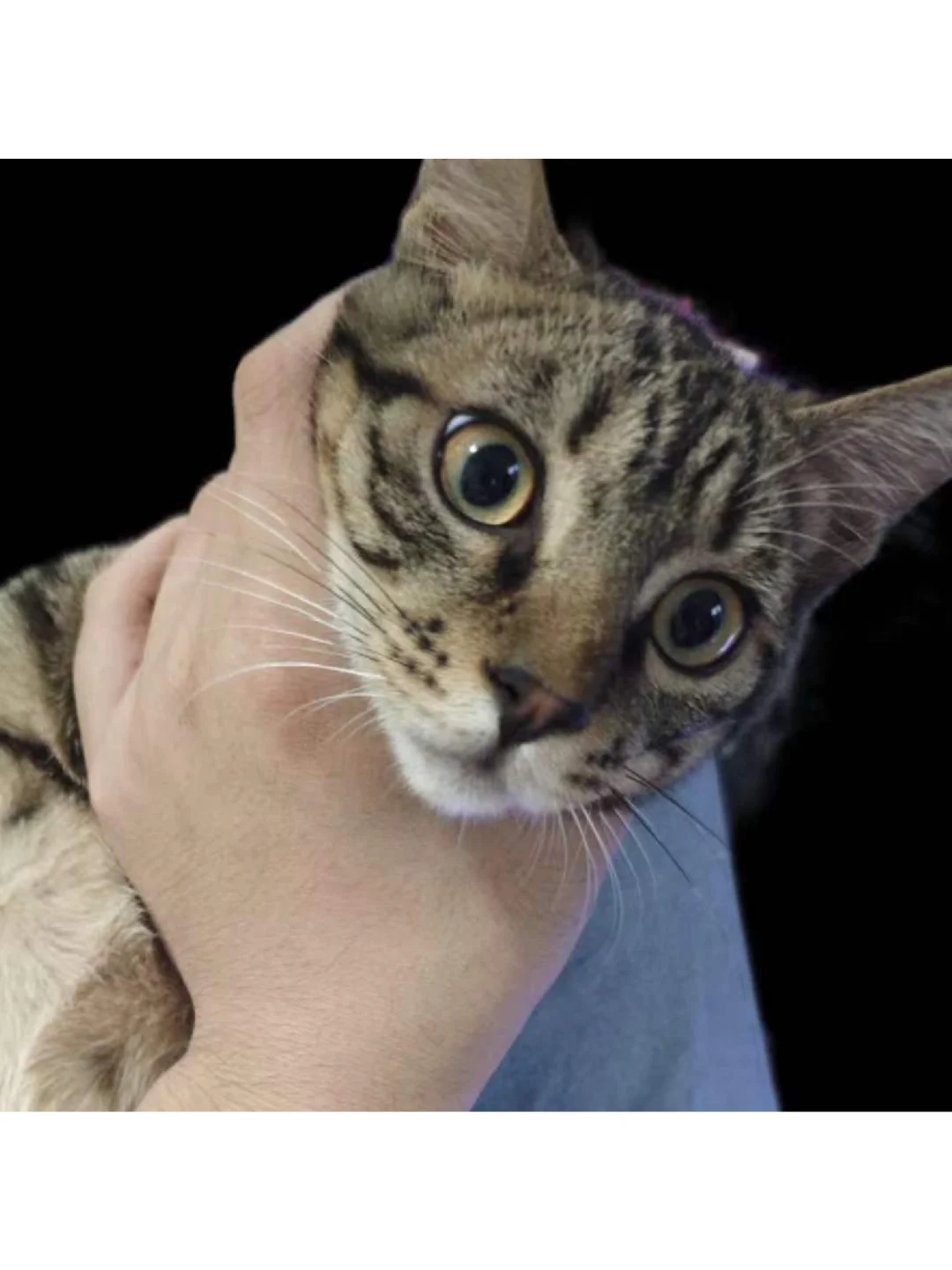 今天也过的不错