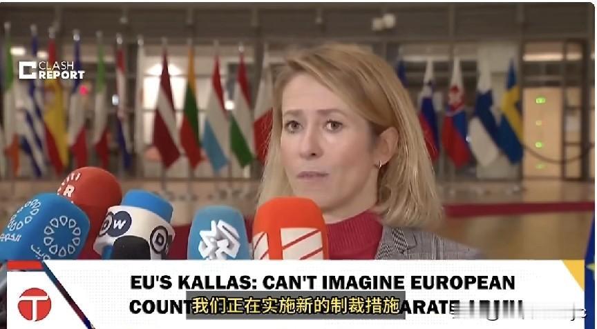 欧盟外长卡娅·卡拉斯：
“我无法想象各国会建立一支独立的欧洲军队。必须是现有的军