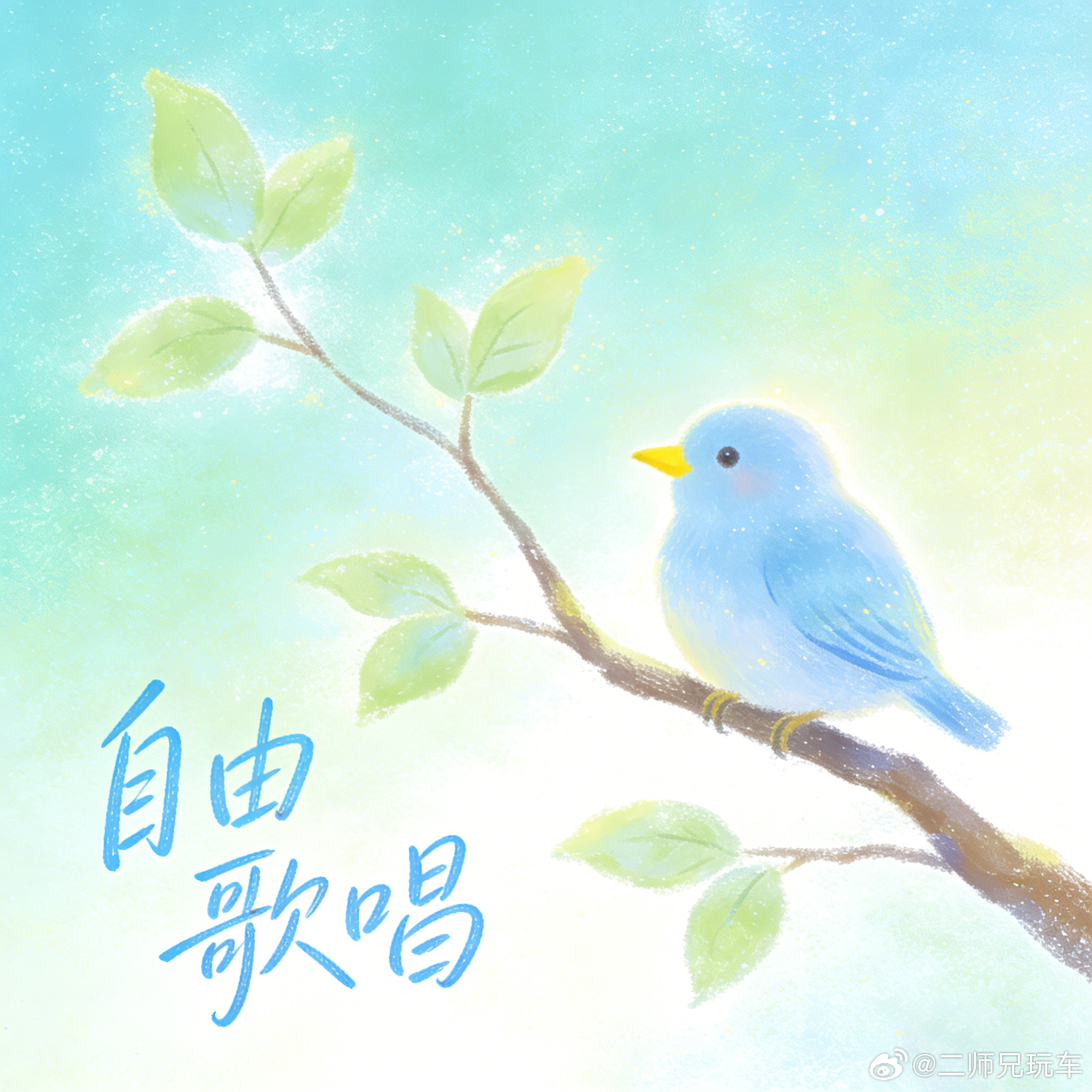 二师兄“各抒己见”系列之：购车时，“车辆尺寸（空间）” 和 “操控灵活性”，你更