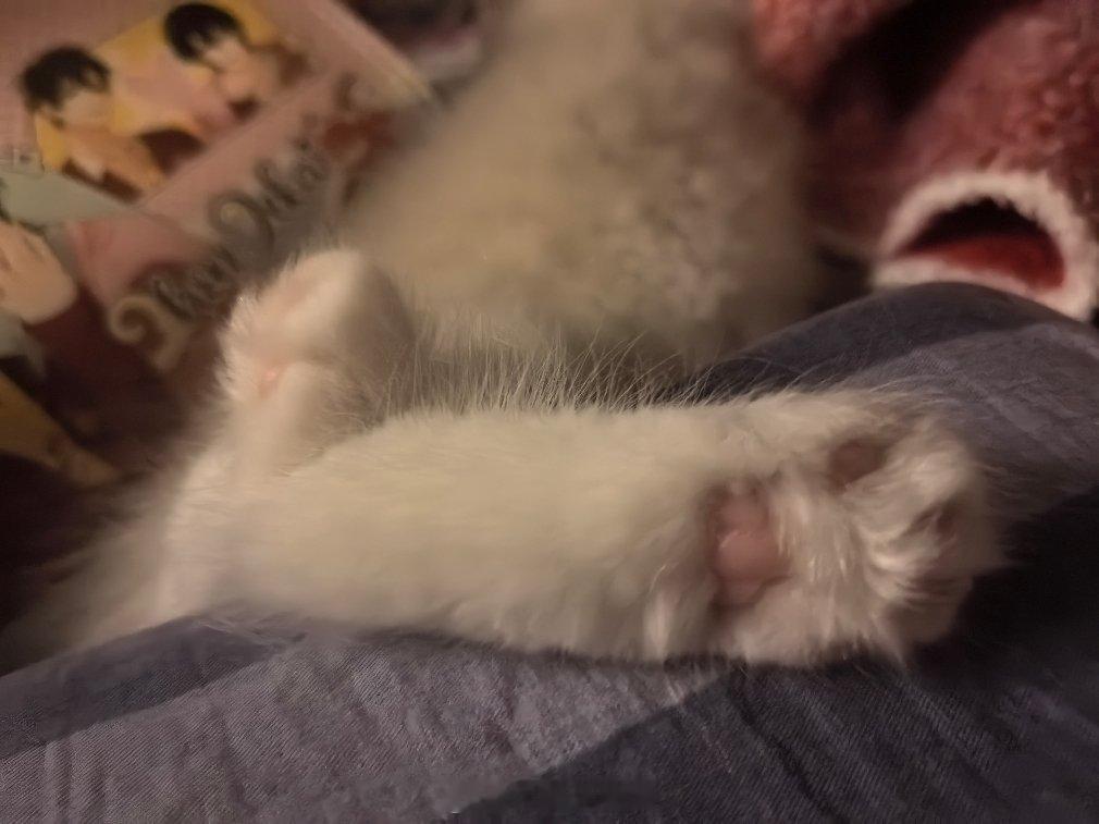 🐾