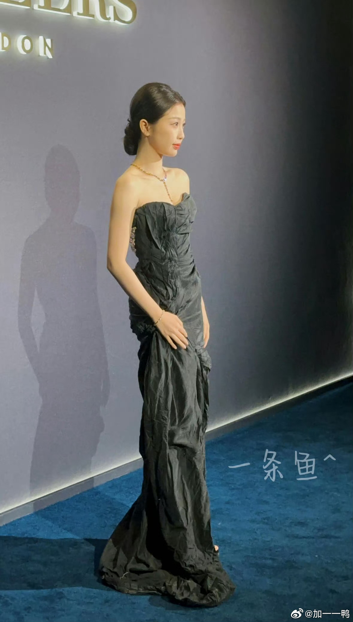 去年今日 好长的一条鱼 