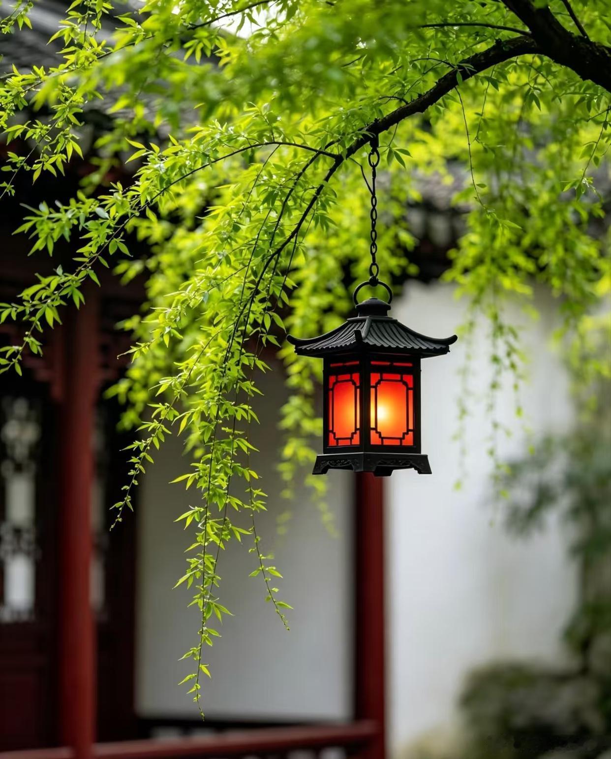 一灯一檐，一院一夏🌿 