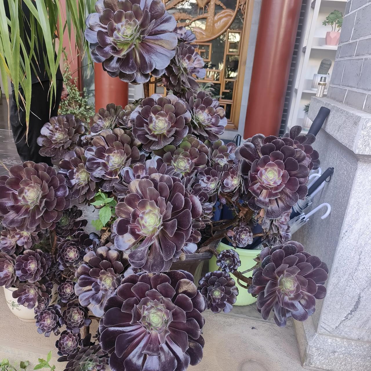 和婆婆住在一起，你最难以忍受的是什么？

我婆婆脾气还算温和，在我家住了十几年了