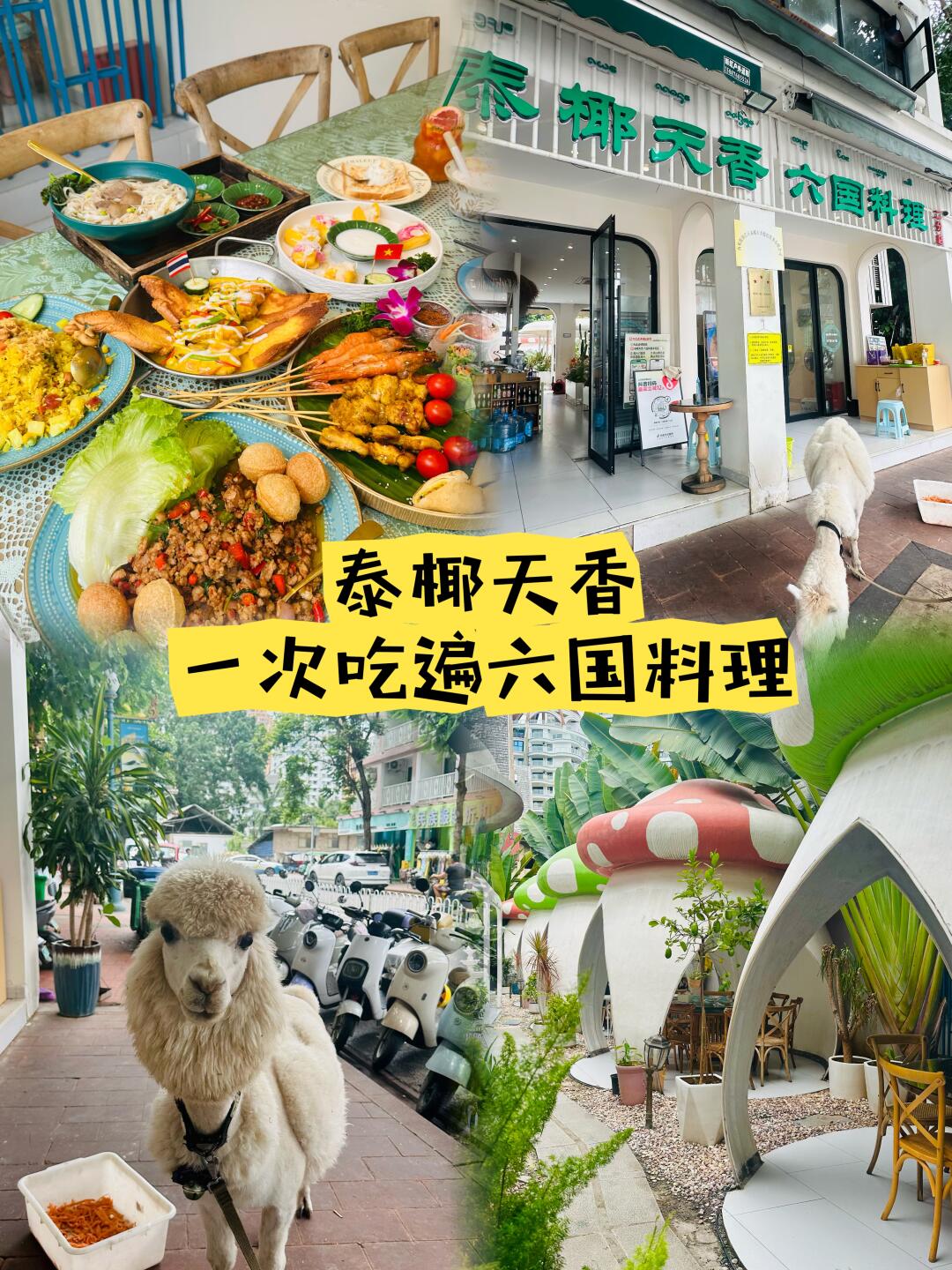 🦙羊驼是大boss！这家店一次吃遍六国料理！