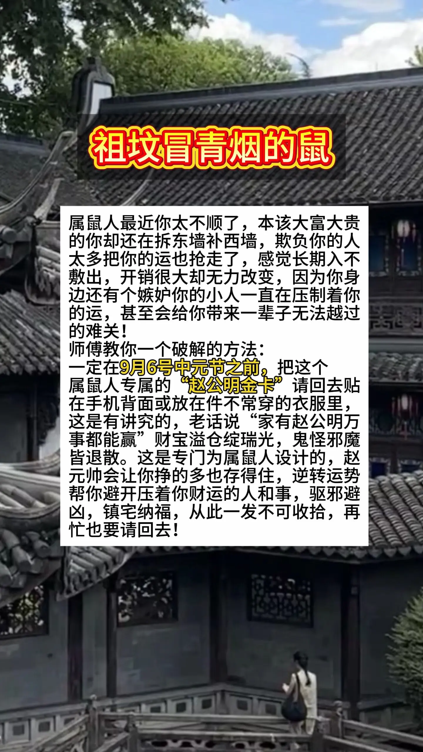 1972年的鼠 1984年老鼠 1996鼠 属鼠的人 生肖鼠