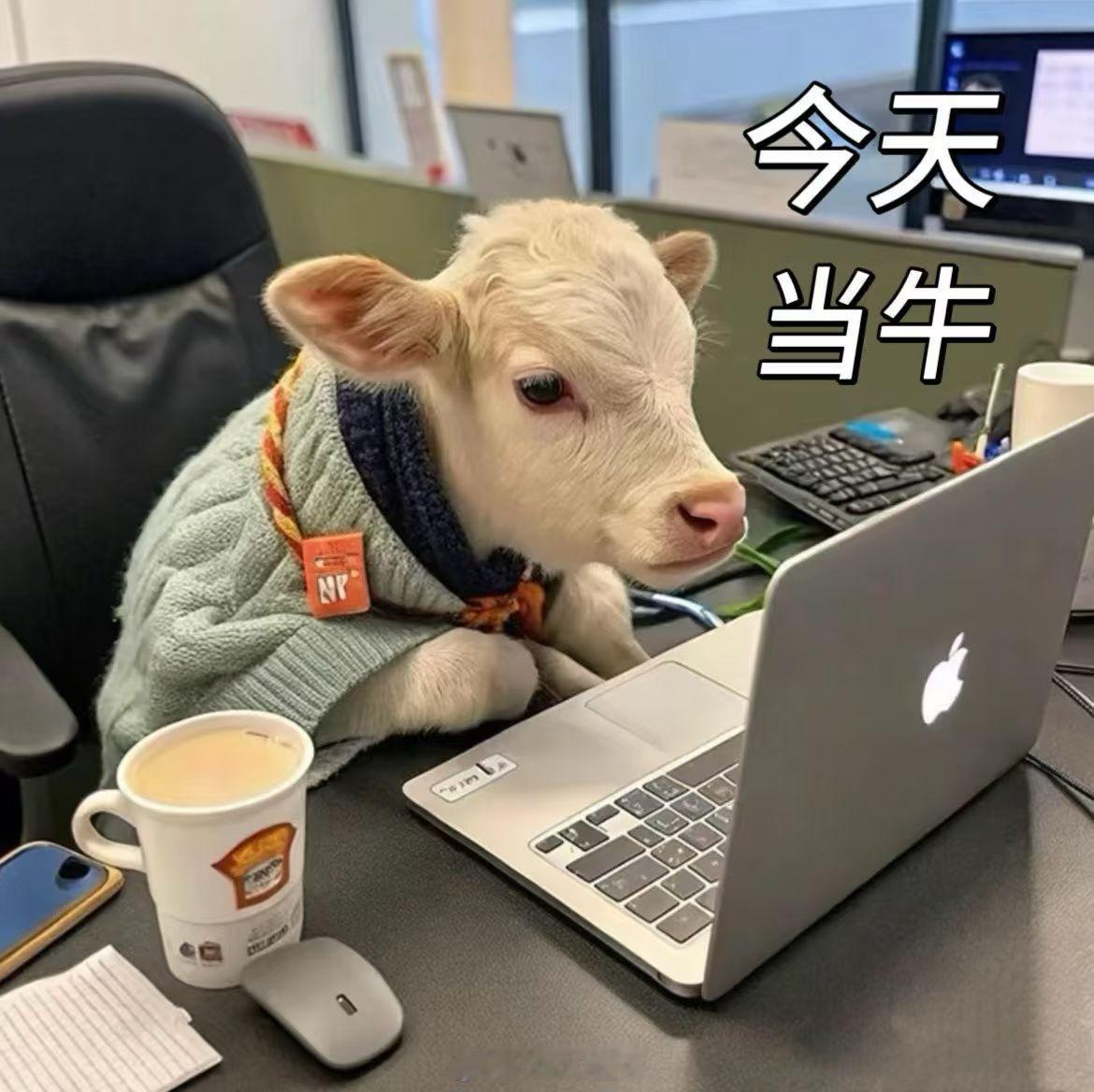 gakiki张天赋mc张天赋 本周上班动力