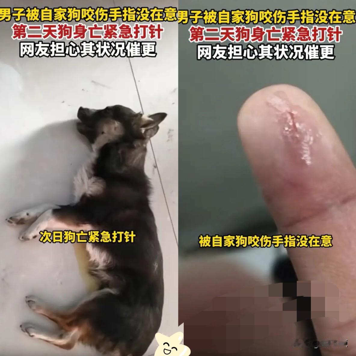 后怕！河南，男子养了一条狗，下班回家后看狗的状态不太好，他好心上前想安抚，不料平