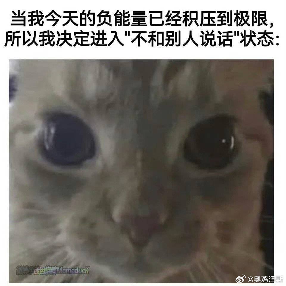 每次看到评论兴冲冲打开十条至少有五条以上复制粘贴三条在夸厨子饭啥的感觉 