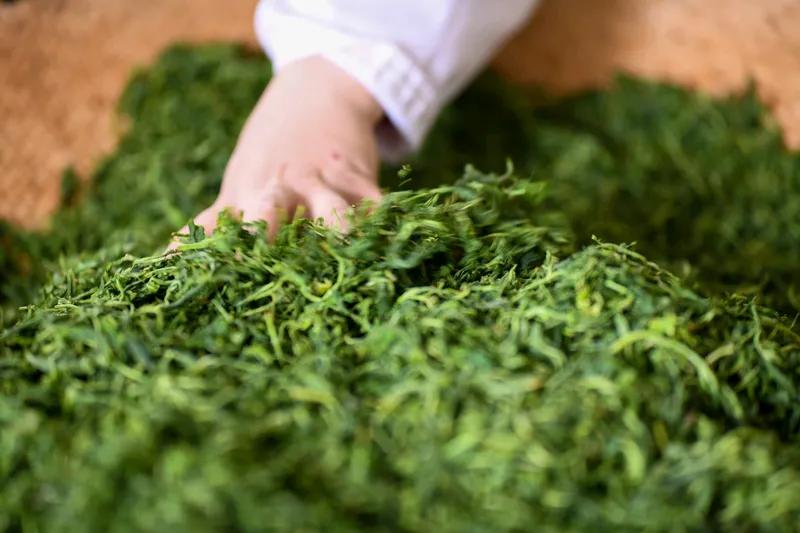 漫品时光
茶香袅袅润心田
纸墨摊开古韵传
古草千花添雅韵
碧柳舞丝题诗篇