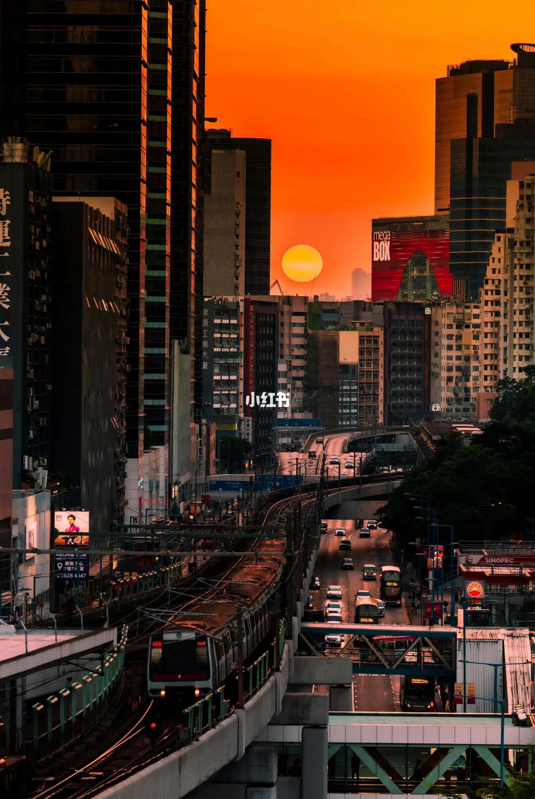 𝓗𝓸𝓷𝓰 𝓚𝓸𝓷𝓰 𝓜𝓸𝓶𝓮𝓷𝓽𝓼