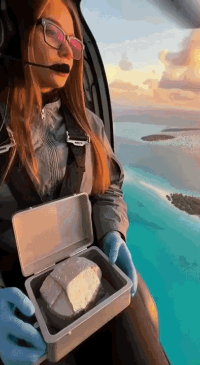 长知识系列，
原来金属钠和海水接触的话，
直接放烟花🎆。