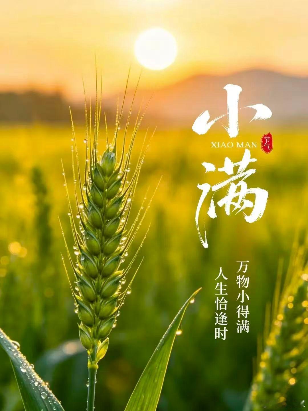 小满养生小满时节，万物繁茂，生长最旺盛，人体的生理活动也处于最旺盛的时期，消耗的
