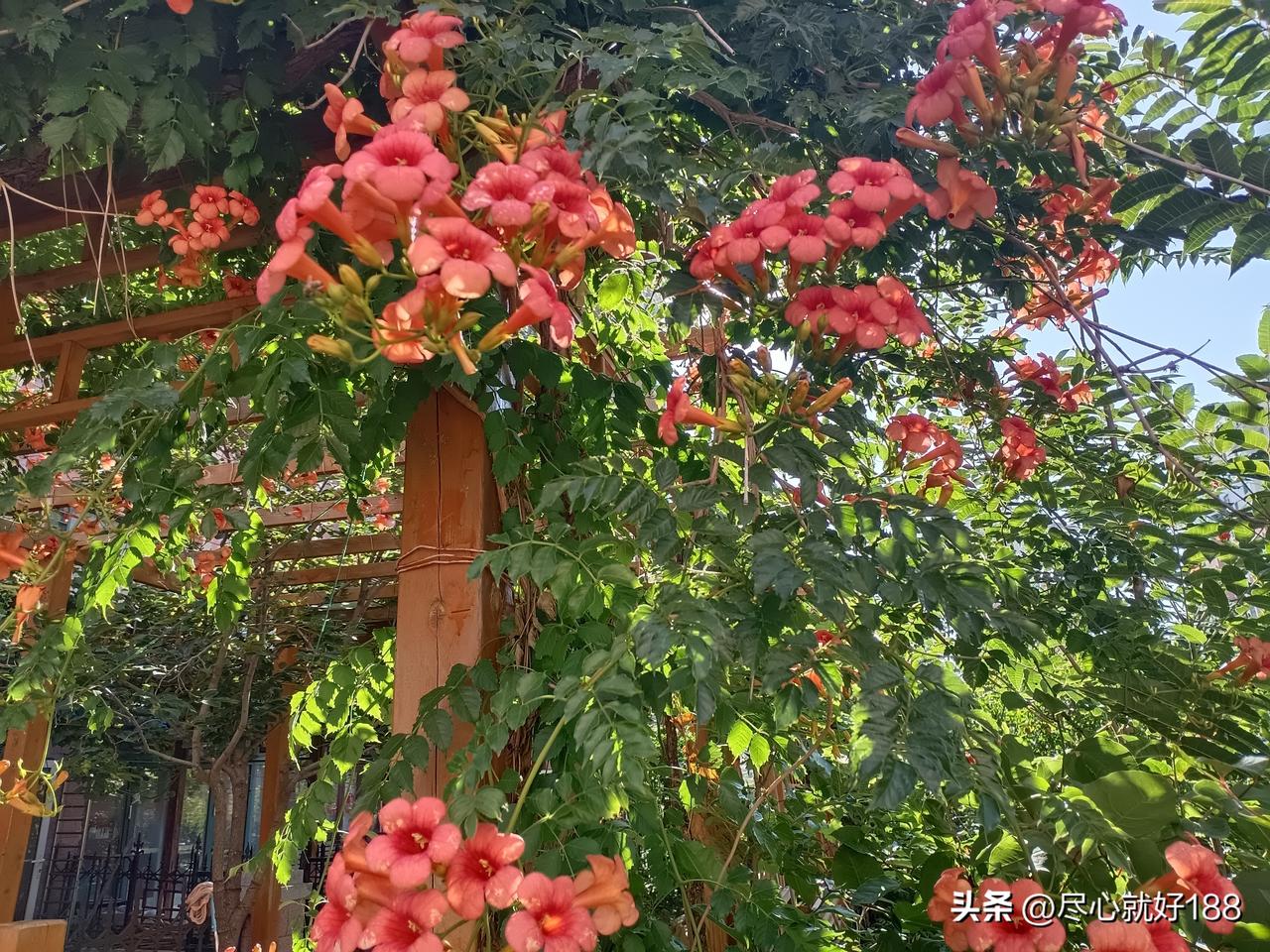 妈妈一个多月前，突然不能走路了，跑了好几个医院，到现在还是不能走路，在医院的时候