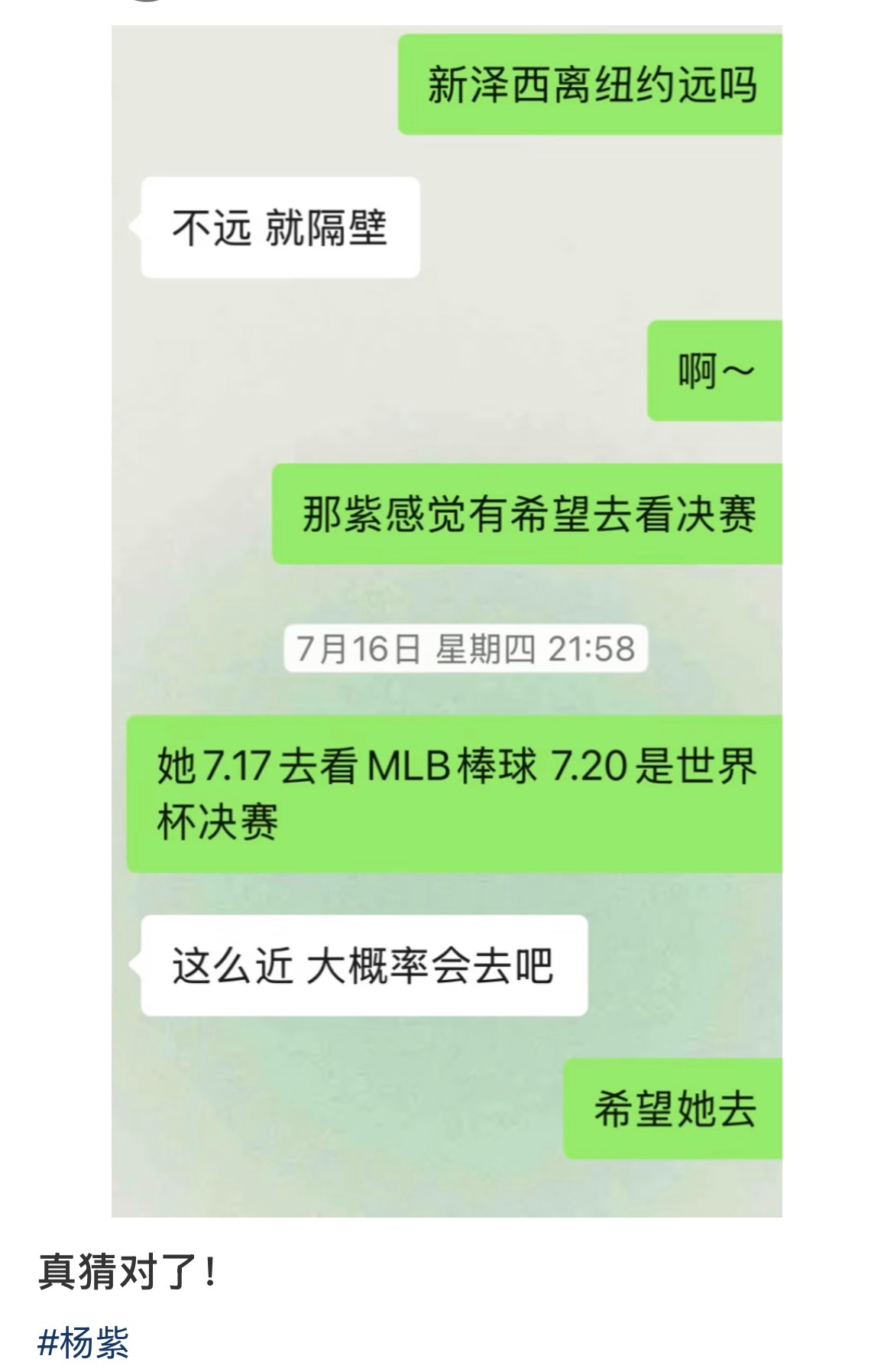啥意思 紫还要去世界杯吗 