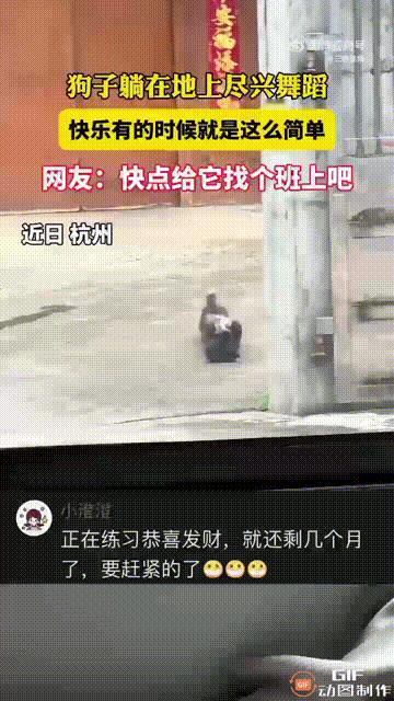 浙江杭州一处街头，一只小狗四脚朝天地躺在地上扭来扭去，看起来非常悠闲，就像是在跳