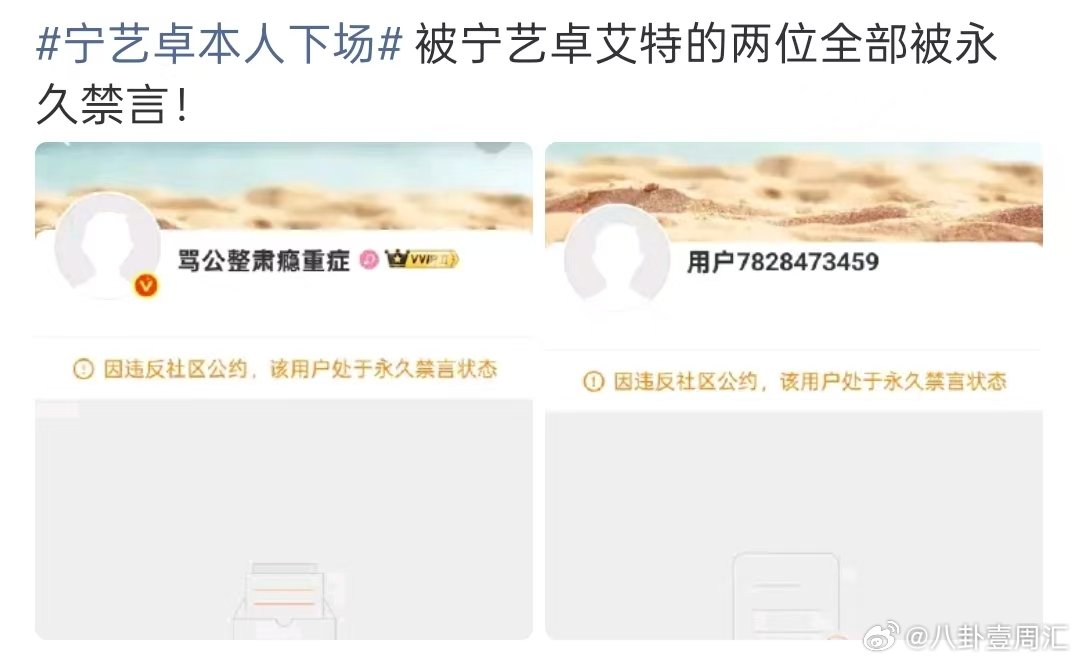 宁艺卓的黑粉被永久禁言宁艺卓艾特的黑粉被永久禁言 宁艺卓本人下场 被宁艺卓艾特的