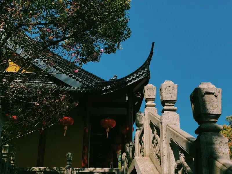 好运来接力！刚签完“顺遂安康”上上签，把这份福气传给下一位有缘人。[玫瑰][玫瑰