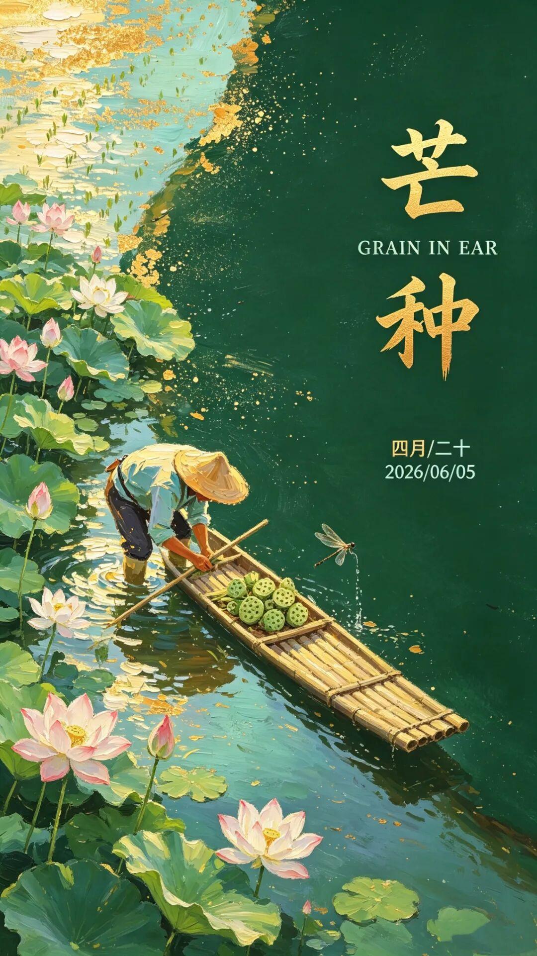 芒种至，盛夏始
有收有种，自在从容